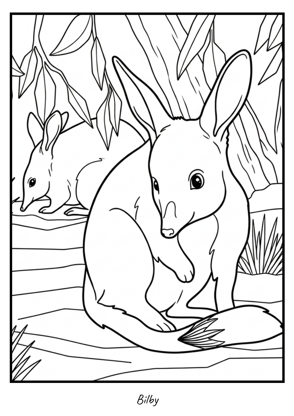 Bilby colouring page