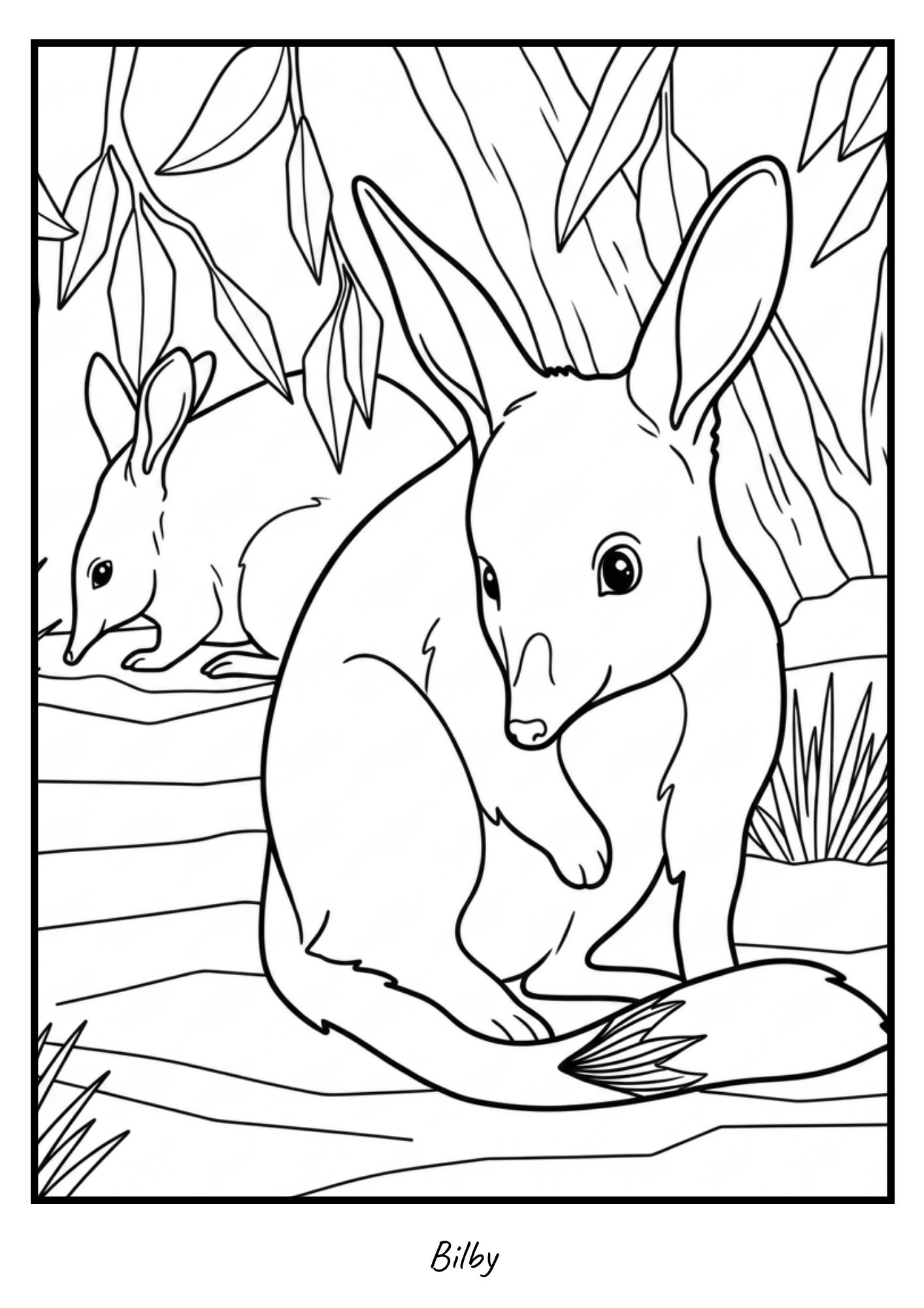 Bilby colouring page