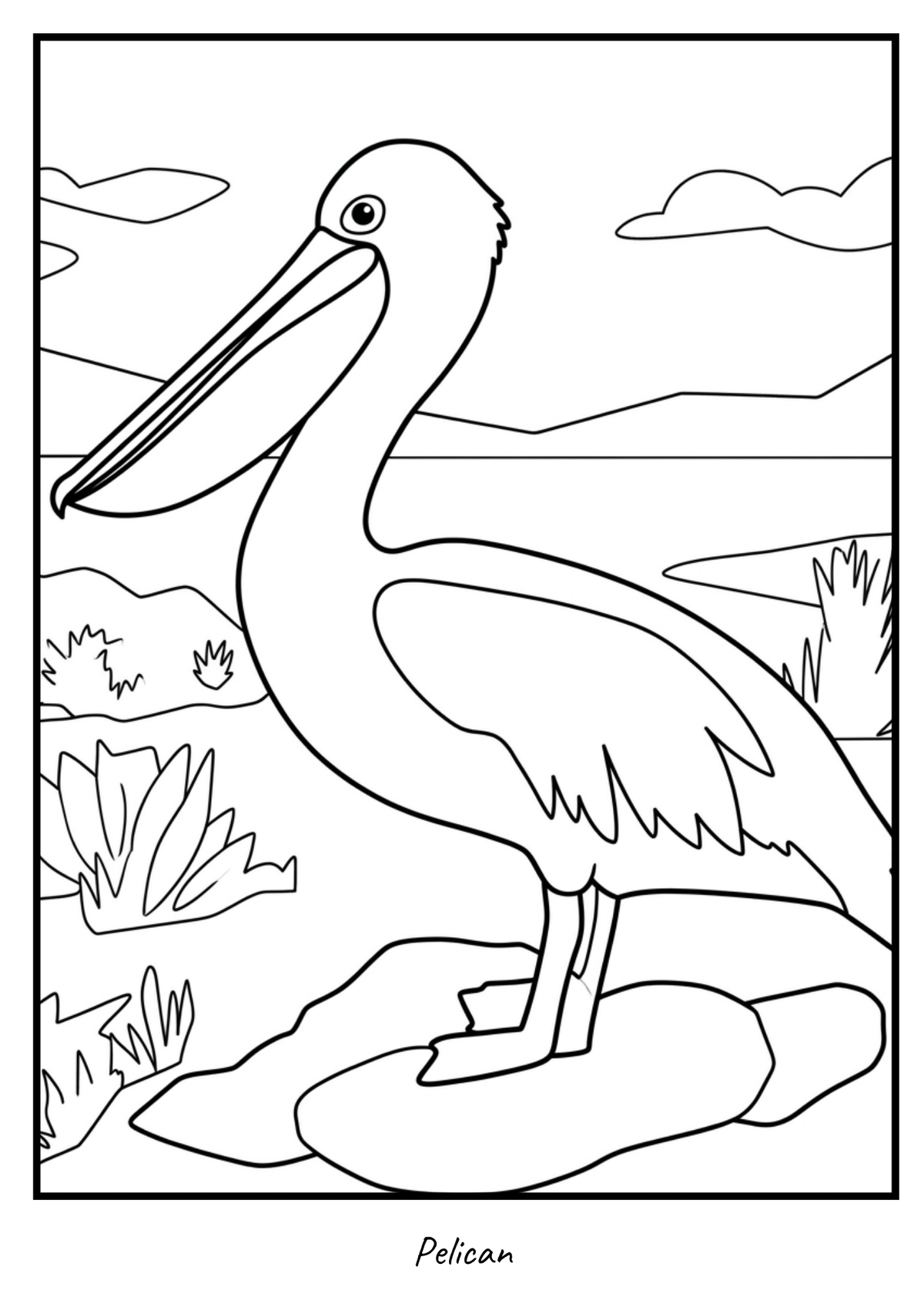 Pelican colouring page