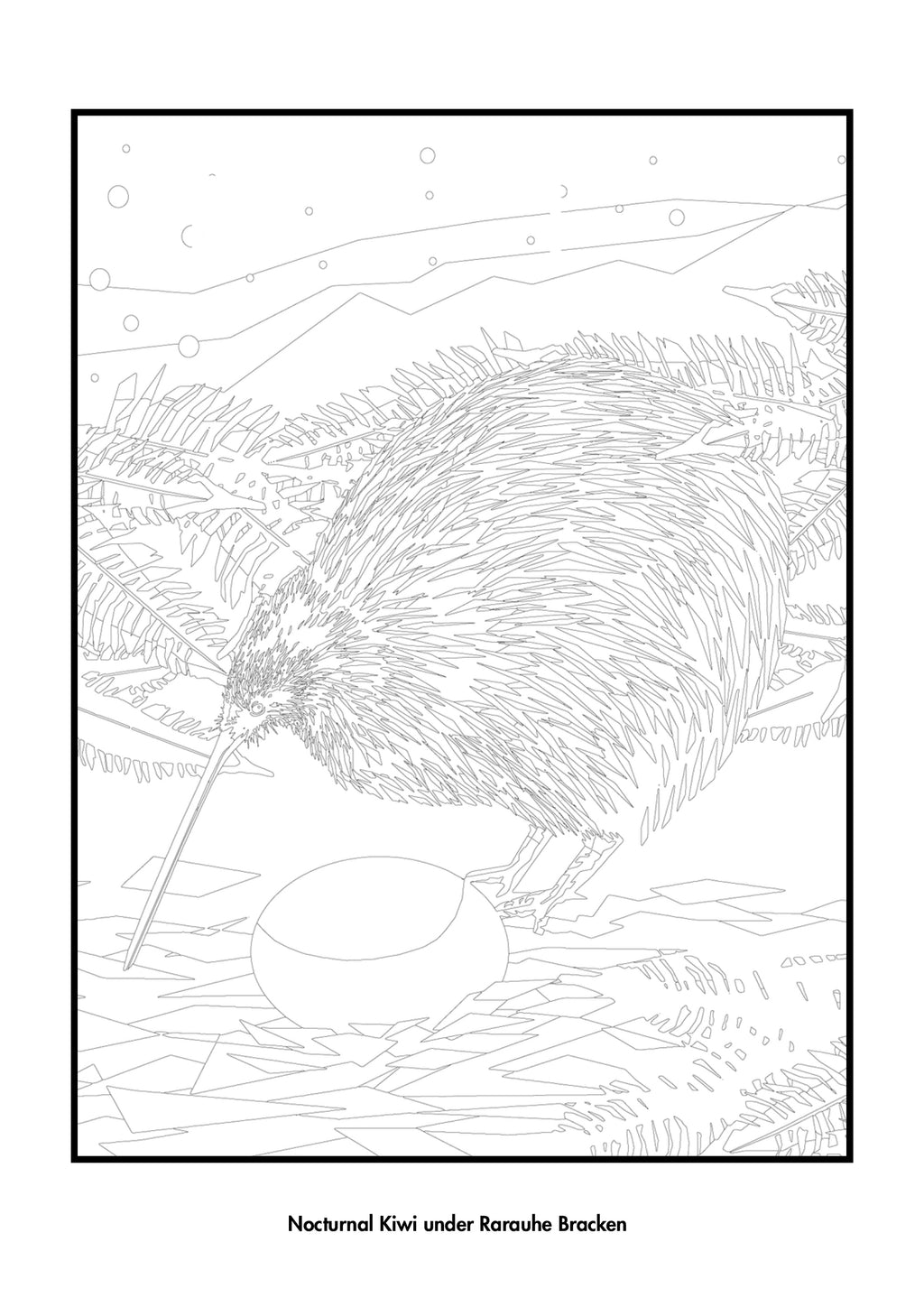 Nocturnal Kiwi under Rarauhe Bracken – A4 colouring page